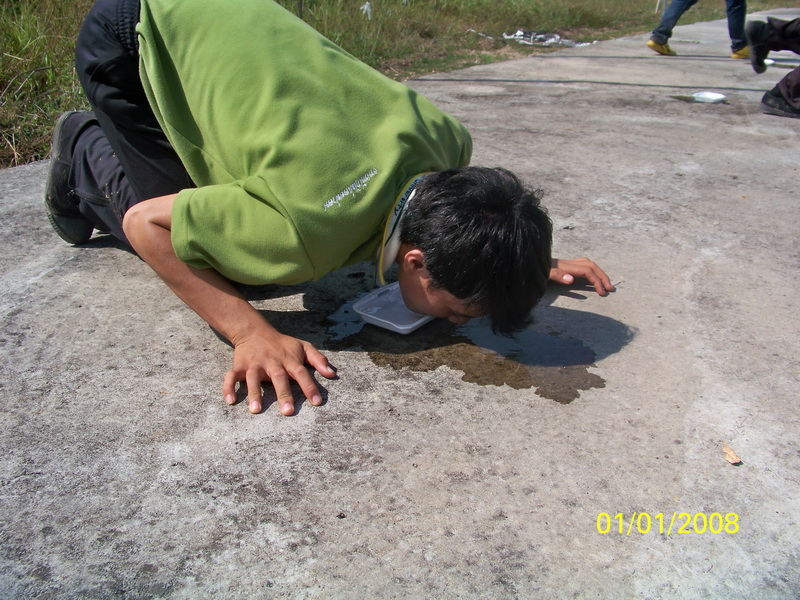 ../Picture/2555/MJUP2012120714430709.JPG