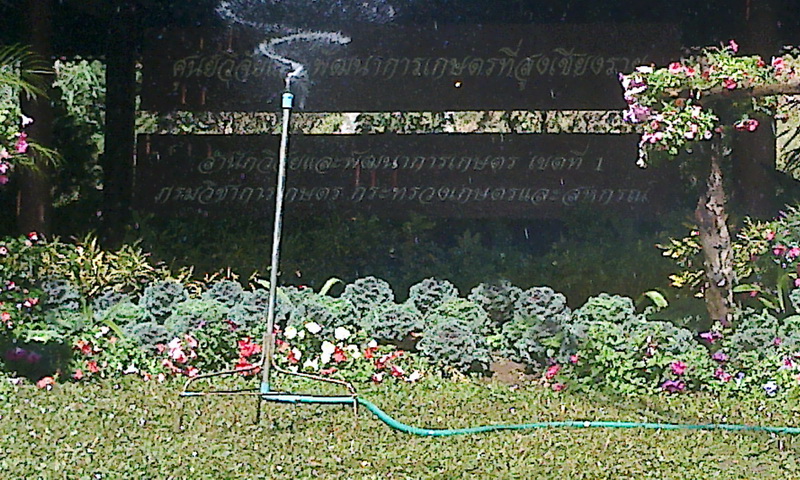 ../Picture/2556/MJUP2013013119033903.jpg