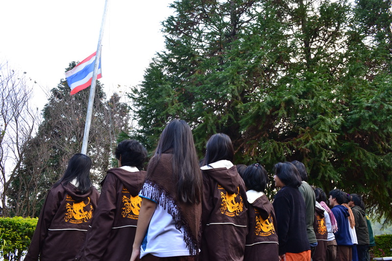 ../Picture/2556/MJUP2013013119210103.JPG