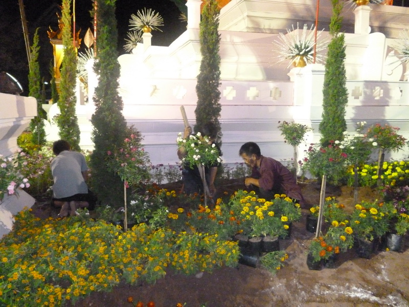 ../Picture/2556/MJUP2013022818405101.JPG
