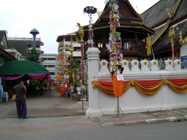../Picture/2550/DSC01214.JPG