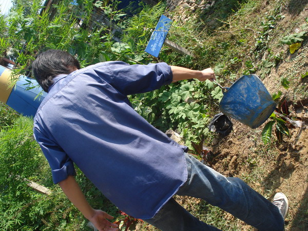 ../Picture/2550/DSC08826.JPG