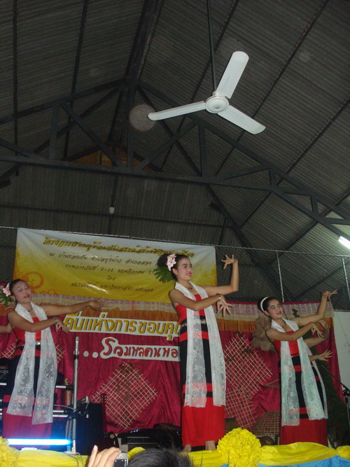 ../Picture/2550/DSC08993.jpg