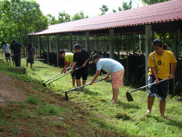 ../Picture/2553/DSC05652.JPG