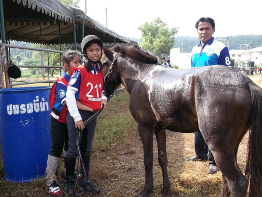 ../Picture/2554/MJUP2011103115511704.JPG