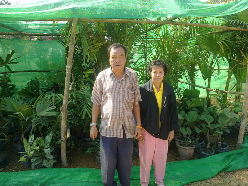 ../Picture/2555/MJUP2012012610110502.jpg