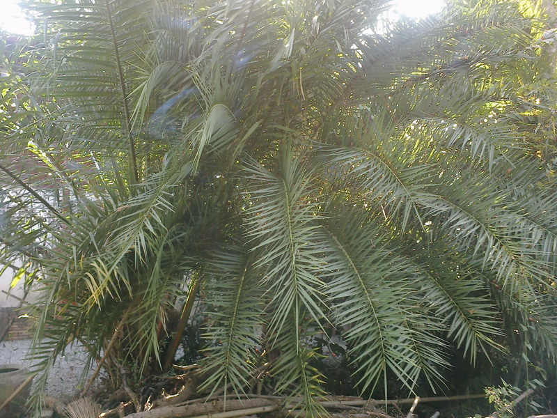 ../Picture/2555/MJUP2012012610110503.jpg