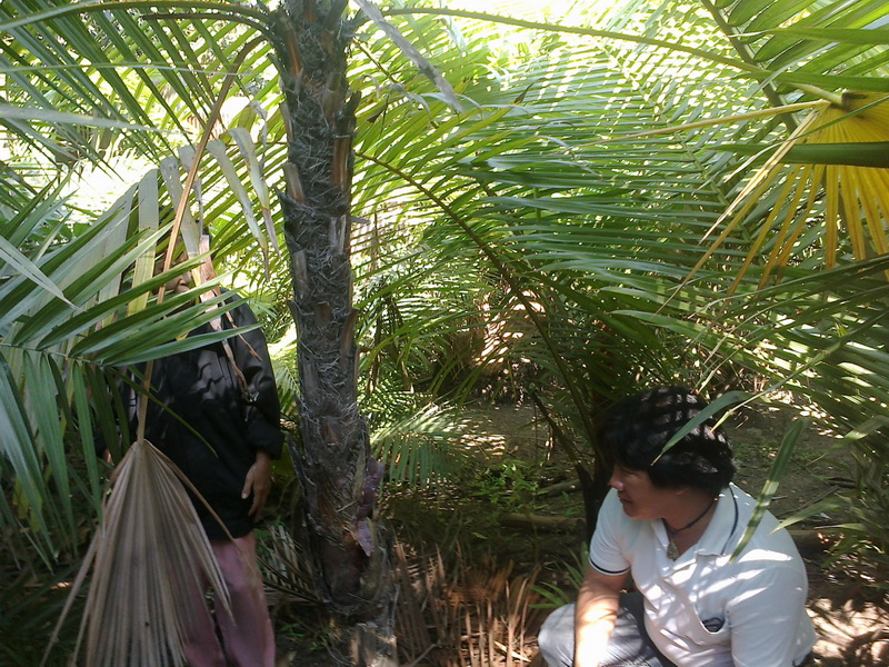 ../Picture/2555/MJUP2012012610110508.jpg