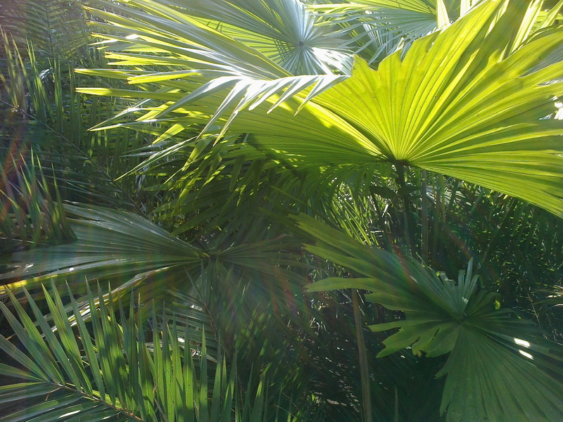 ../Picture/2555/MJUP2012012610110510.jpg