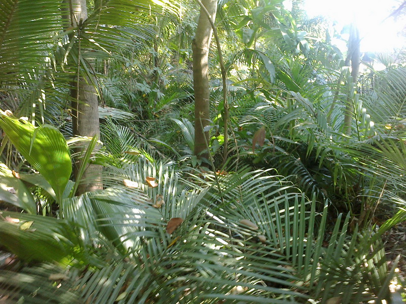 ../Picture/2555/MJUP2012012610113302.jpg