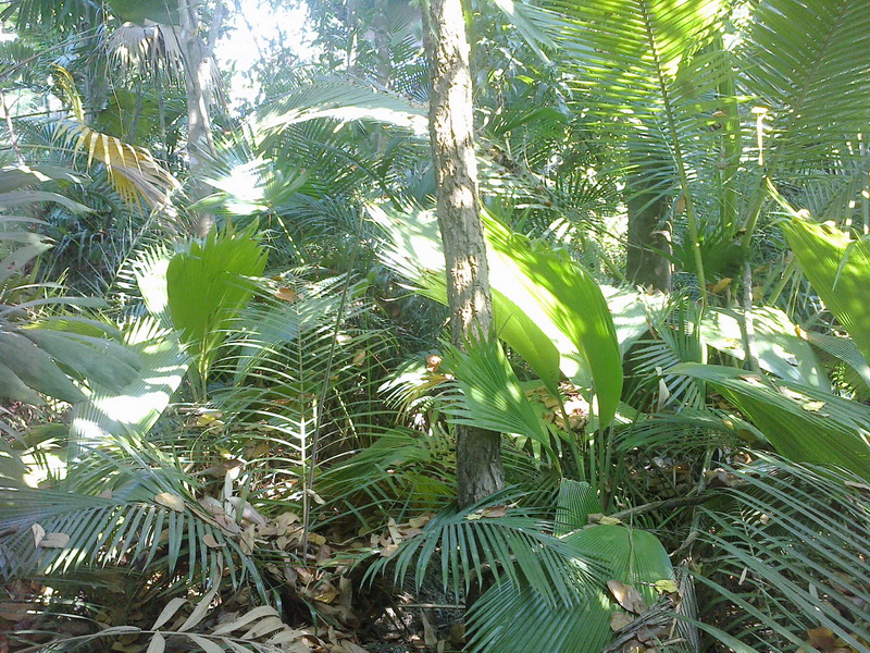 ../Picture/2555/MJUP2012012610113303.jpg