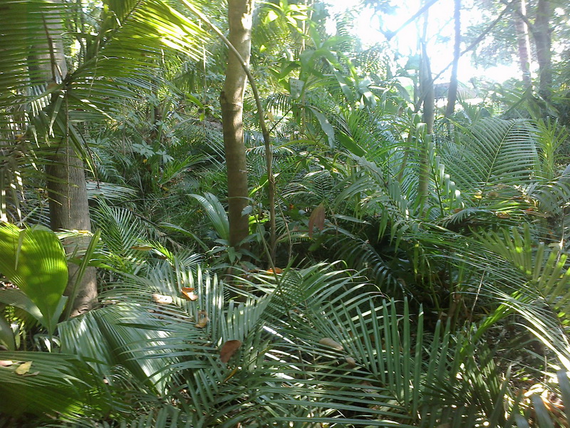 ../Picture/2555/MJUP2012012610113304.jpg