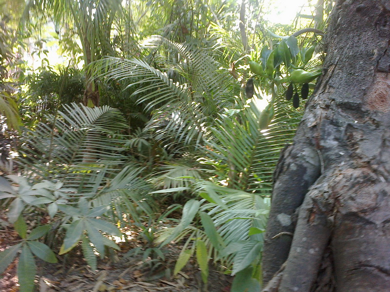 ../Picture/2555/MJUP2012012610113408.jpg