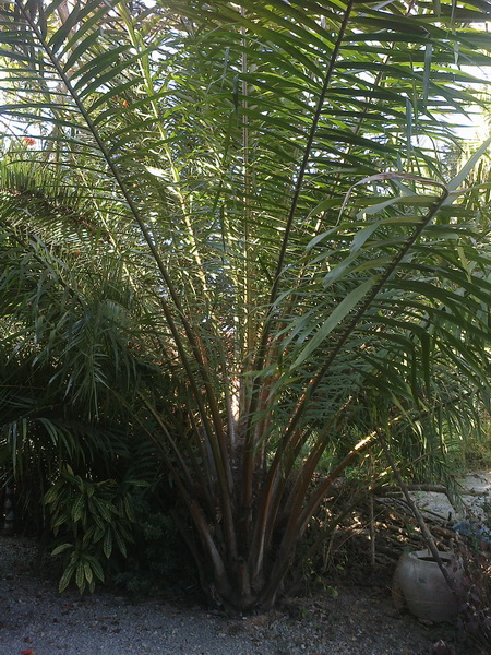 ../Picture/2555/MJUP2012012610113410.jpg