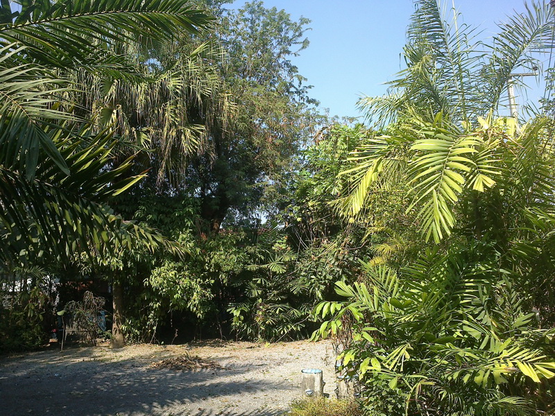 ../Picture/2555/MJUP2012012610121402.jpg