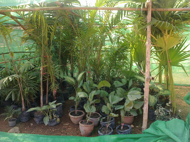 ../Picture/2555/MJUP2012012610121403.jpg