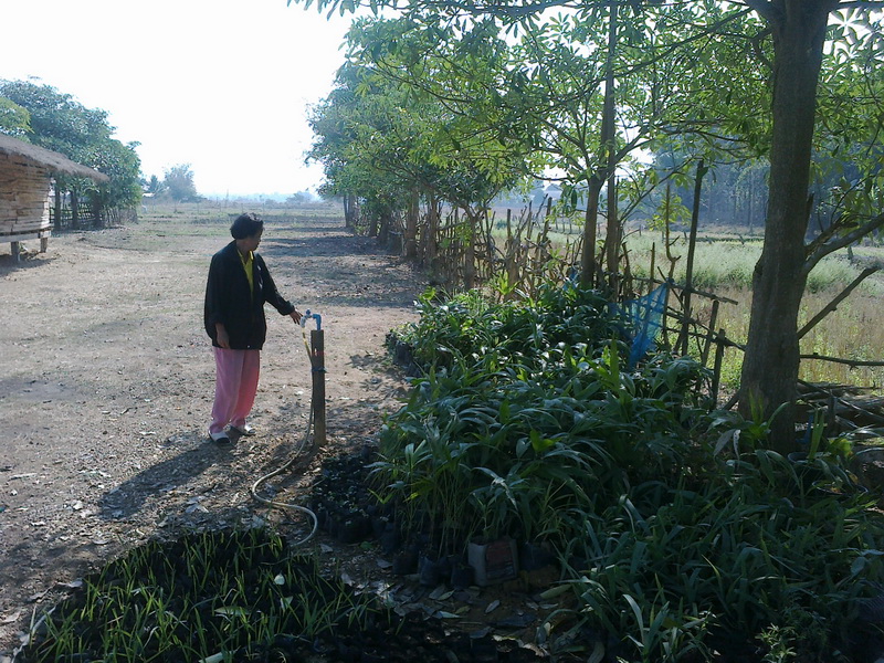 ../Picture/2555/MJUP2012012610121404.jpg