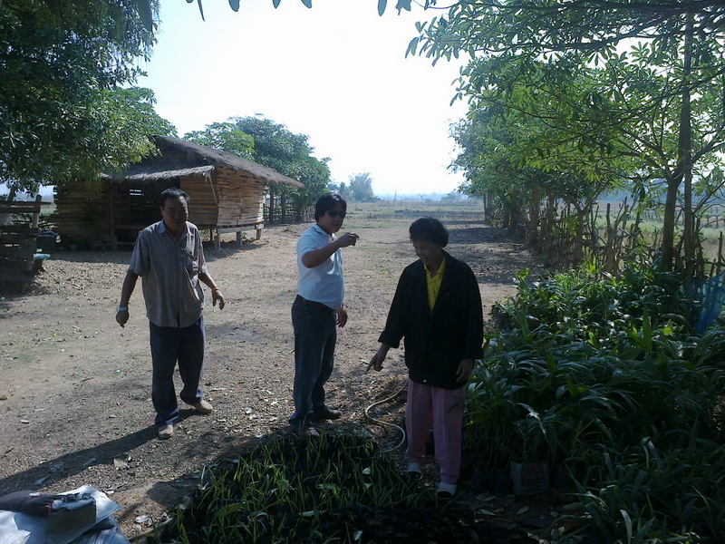 ../Picture/2555/MJUP2012012610121405.jpg