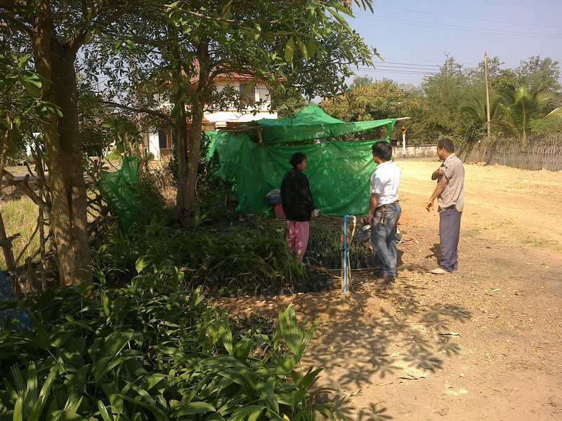 ../Picture/2555/MJUP2012012610121406.jpg