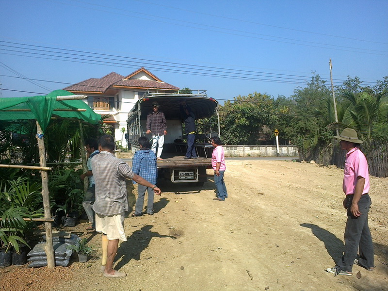 ../Picture/2555/MJUP2012012610121408.jpg