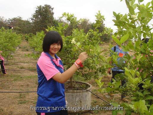 ../Picture/2555/MJUP2012020311394302.JPG