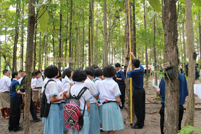 ../Picture/2555/MJUP2012082403243406.JPG