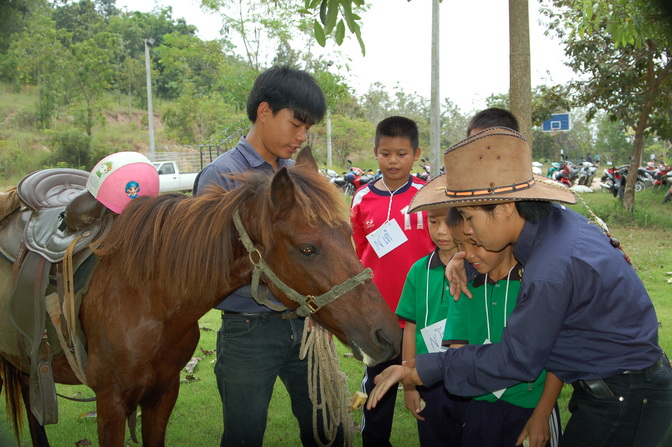 ../Picture/2555/MJUP2012100215395602.JPG