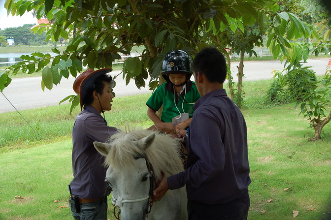 ../Picture/2555/MJUP2012100215395706.JPG
