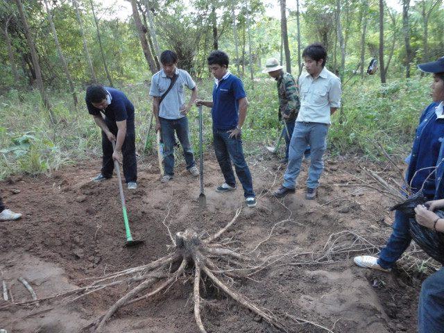 ../Picture/2556/MJU2556070913230219.jpg